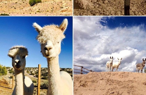 Abiquiu House | 372+ Reviews, B & B style, Hot Tub, Horses, Alpacas, Mini Donkeys, 360 views!