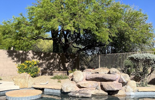 Tatum Ranch House | 3BD Cave Creek Casa with Heated Private Pool