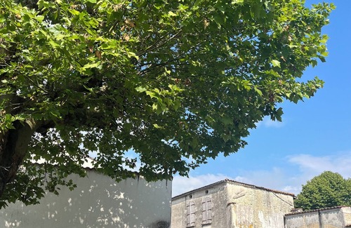 Beauvais sur Matha House | 3Bed House- Sleeps 6 - Pool, Garden, Pets, Parking