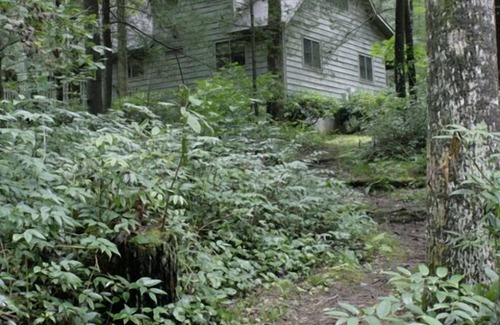 Cashiers Cabin | 3BR/2BA. Mtn Cabin- Cool, Rocky Mtn. Stream. Prime Fall weeks available