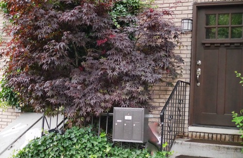 Crown Heights Apartment | 🏡 3BR City-Oasis In Prospect Heights, Brooklyn