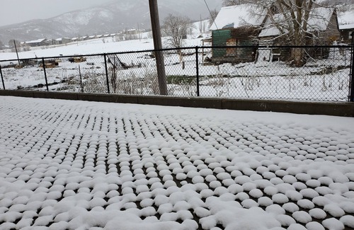 Zermatt Villa | 3BR-Midway ~Pool, Hot Spring, Spa Villa 1041-3