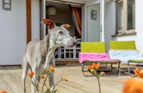 Bude House | 4 bed in Bude 88299