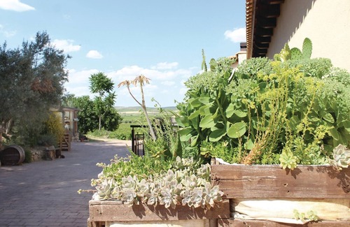 Fuente Alamo House | 4 bedroom amazing home in Albacete