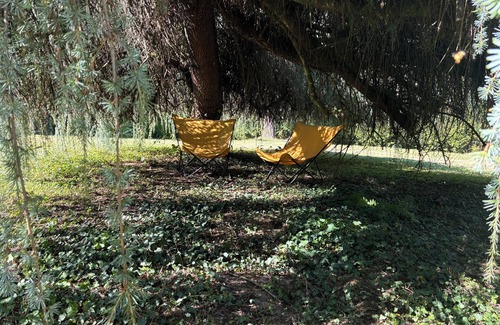 Sarreguemines House | 4-bedroom eco-renovated house in a natural setting - dogs welcome