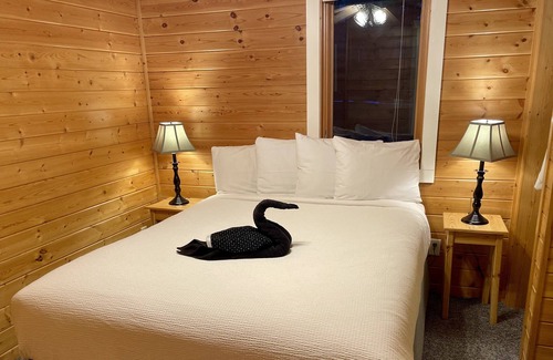 Lake Shore Resort | 4-Bedroom Lakefront Cabin with Gas Fireplace in Nisswa, MN- Minutes from Gull Lk