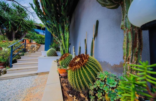 Palermo House | 4 Bedroom Private vacation home in Palermo