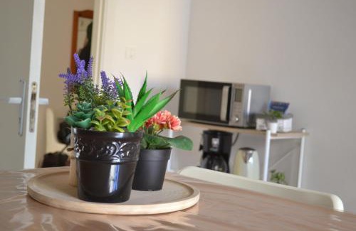 Ruggero Settimo Apartment | 4 Country Side - City Center