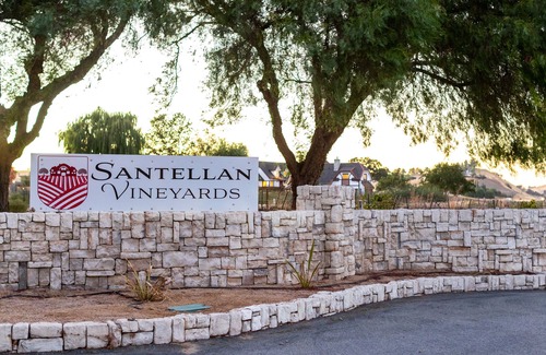 Paso Robles House | 4 Master Suites - Vineyard Estate Home - Santellan Vineyards
