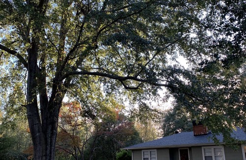 Tuscaloosa House | 4 miles from Bryant Denny Stadium