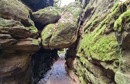 Rathmannsdorf Apartment | 4 P.-fewo "waldquell" im Landhaus Porschdorf