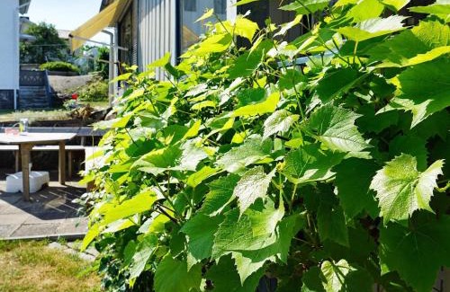 Hono House | 4 person holiday home in Hönö