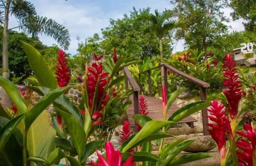 Santa Marta Hotel | 4 Pozos Tayrona