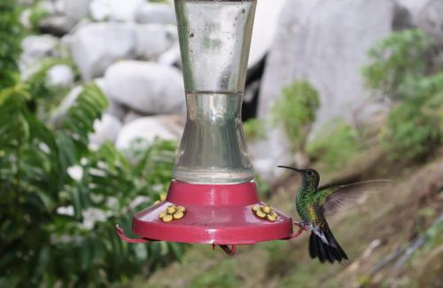 Santa Marta Hotel | 4 Pozos Tayrona