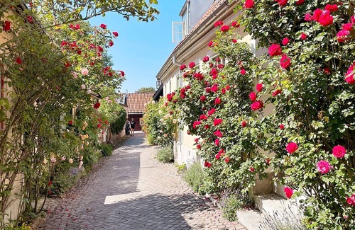 Tofta House | 4 star holiday home in GOTLANDS TOFTA-By Traum
