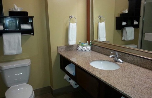 Madison House | 4 Stylish Units for Business Travel, Breakfast, Park