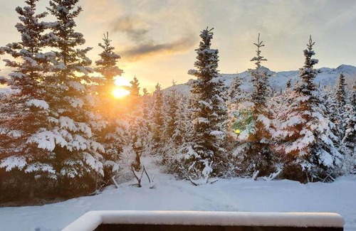 Healy Resort | 400 m² Resort ∙ 1 bedroom ∙ 4 guests