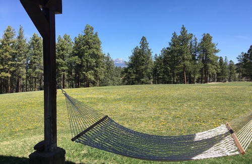 Pagosa Springs House | 450 Private Acres with 3/4 Miles of River! Ponds, Forest, Fishing, Hiking!