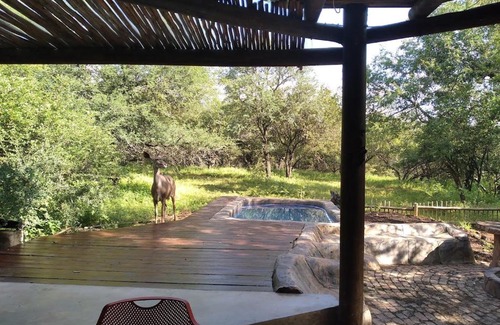 Marloth Park House | 4609 Ratel