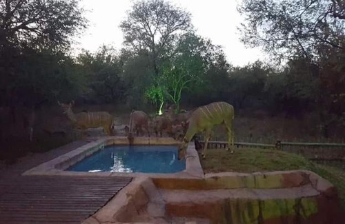 Marloth Park House | 4609 Ratel