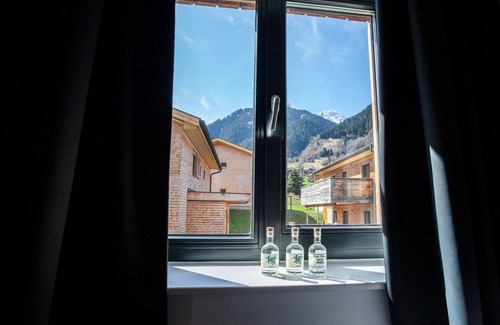 Sankt Gallenkirch Apartment | 46272 Montan 27 OG