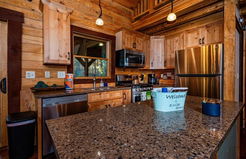 Helmsburg Cabin | 4BR, 3 BA Log Cabin in the woods.
