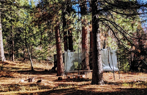 Mount Shasta House | 4BR Cabin in the Woods on 2.5 acres