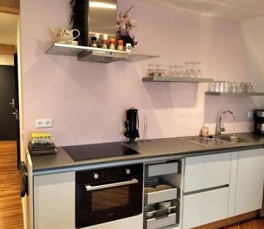 Egmond aan den Hoef Apartment | 4T4 Apartment C