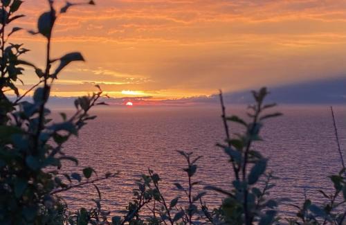 Pleneuf-Val-Andre Cabin | 5 Etoiles hébergement insolite de luxe