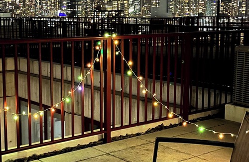 Hunters Point Apartment | 5 mins to Midtown Central Luxury Penthouse Duplex 2b2b with Private Terrace