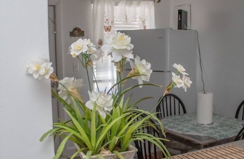 Allapattah House | 5 minutes away from MIA! 10 Minutes away from Port of Miami!