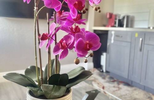 Hermosa Village Apartment | 5 minutes from Disneyland