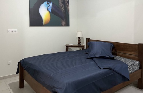 Cayenne Apartment | 5 North. comfortable apartment