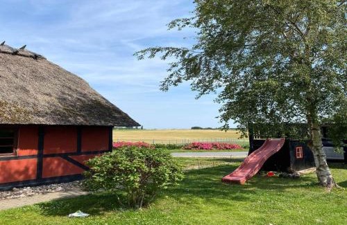 Frørup House | 5 star holiday home in Frørup