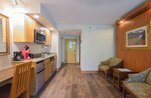 Crested Butte Condo | 515 🏂 Slopeside Condo in Mt. Crested Butte