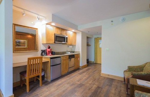 Crested Butte Condo | 515 🏂 Slopeside Condo in Mt. Crested Butte