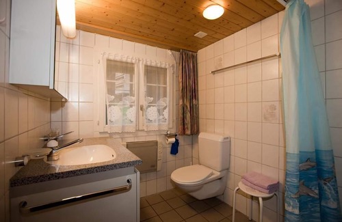 Hasliberg Other | 6.5 room holiday flat Hofstatthaus