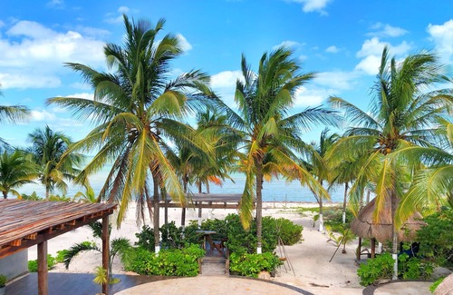 Mexico House | 6 BDR - Spectacular beachfront home