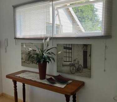 Linden Apartment | 6 Olives on Third