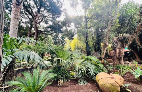 Greater Johannesburg Metropolitan Area House | 6 on Columbus Guesthouse