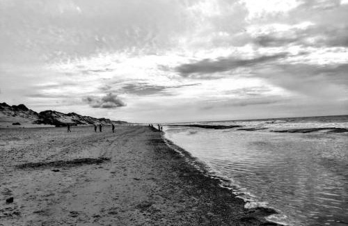 Sønder Nissum House | 6 person holiday home in Ulfborg-By Traum