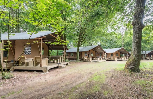 Nieuw-Milligen RV Rental | 6-person safari tent in the holiday park Landal Rabbit Hill