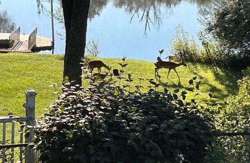 South Bend House | 60% Discount ! Waterfront 2 Bedrm Suite w/3 HD Smart TVs 86" w/2 Xboxes