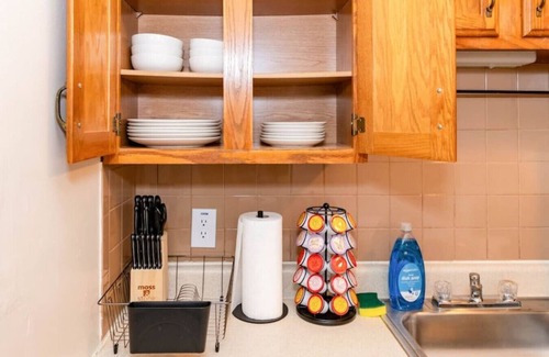 Albany Apartment | 610B) Large 1 bedroom downtown!