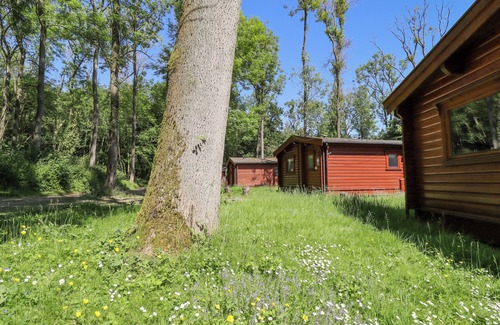 Kenwick Cottage | 64 ACORN LODGE KENWICK PARK, pet friendly, with hot tub in Louth