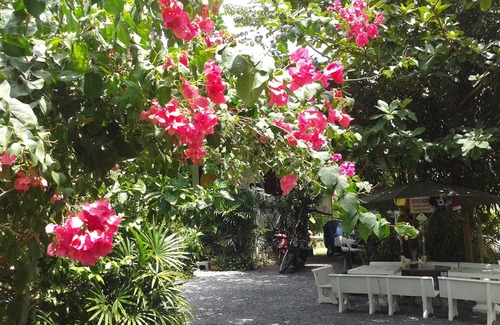 Maret House | 65 sqm holiday homes - quiet resort in the coconut grove at the foot of the mountains /Lamai