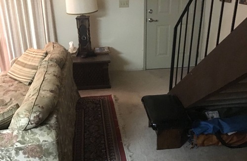 Lake Forest Condo | 70's Cabin/Condo