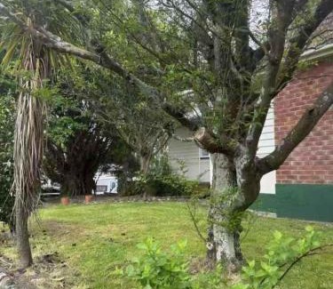 Palmerston North Apartment | 77b Slacks Road, Awapuni, Palmerston North