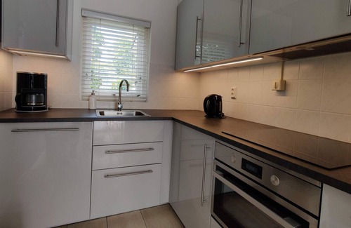 Vlagtwedde House | 8 p. Villa met terras en tuin aan het water, gratis WiFi + zwembad