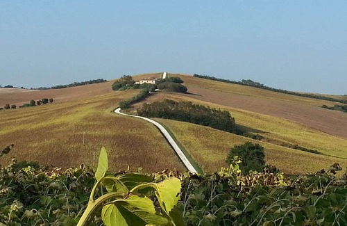 Scapezzano Apartment | 80 sqm open space-style flat in a green setting